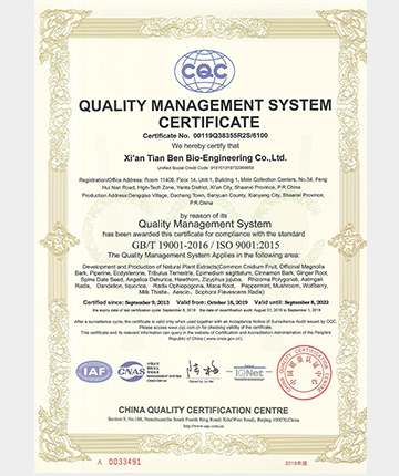 ISO English Certificate