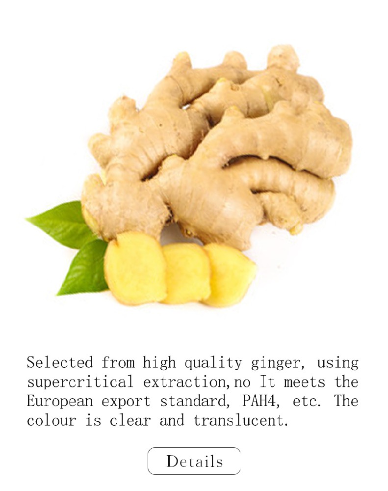 Ginger Root Extract Powder