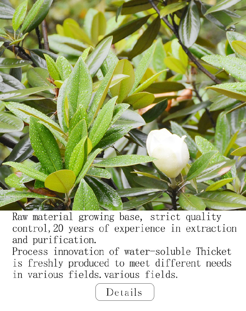 Magnolia Bark Extract