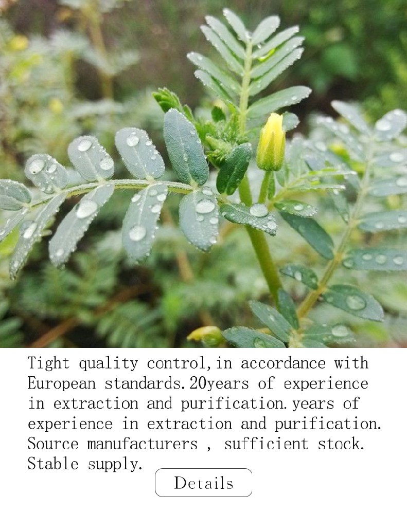 Tribulus Terrestris Extract