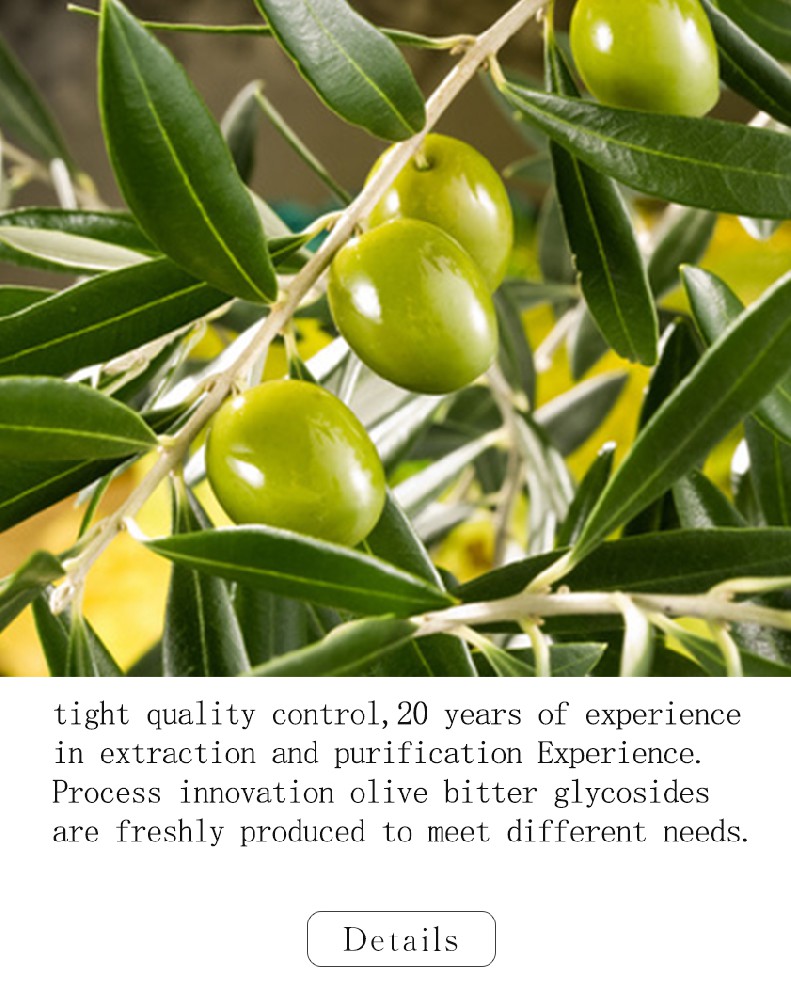 Olive Leaf Extract