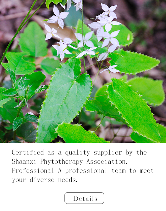 Epimedium Leaf Extract