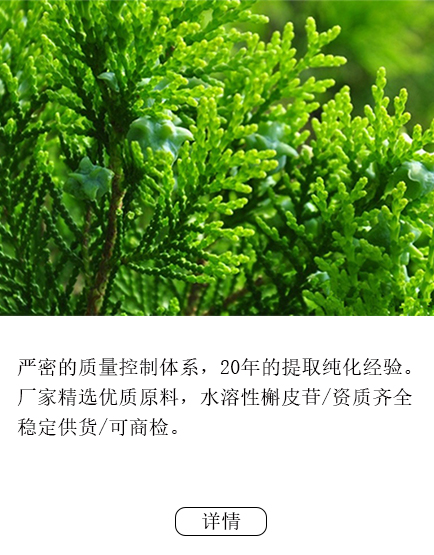 侧柏叶提取物